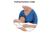 Illustration of breastfeeding, cradle position